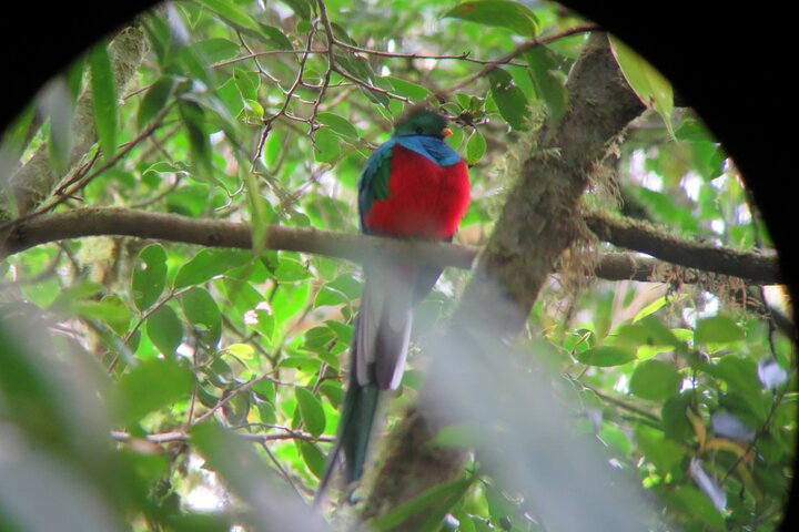 Day and Night Tour Combo by Pasión Costa Rica - Photo 1 of 12